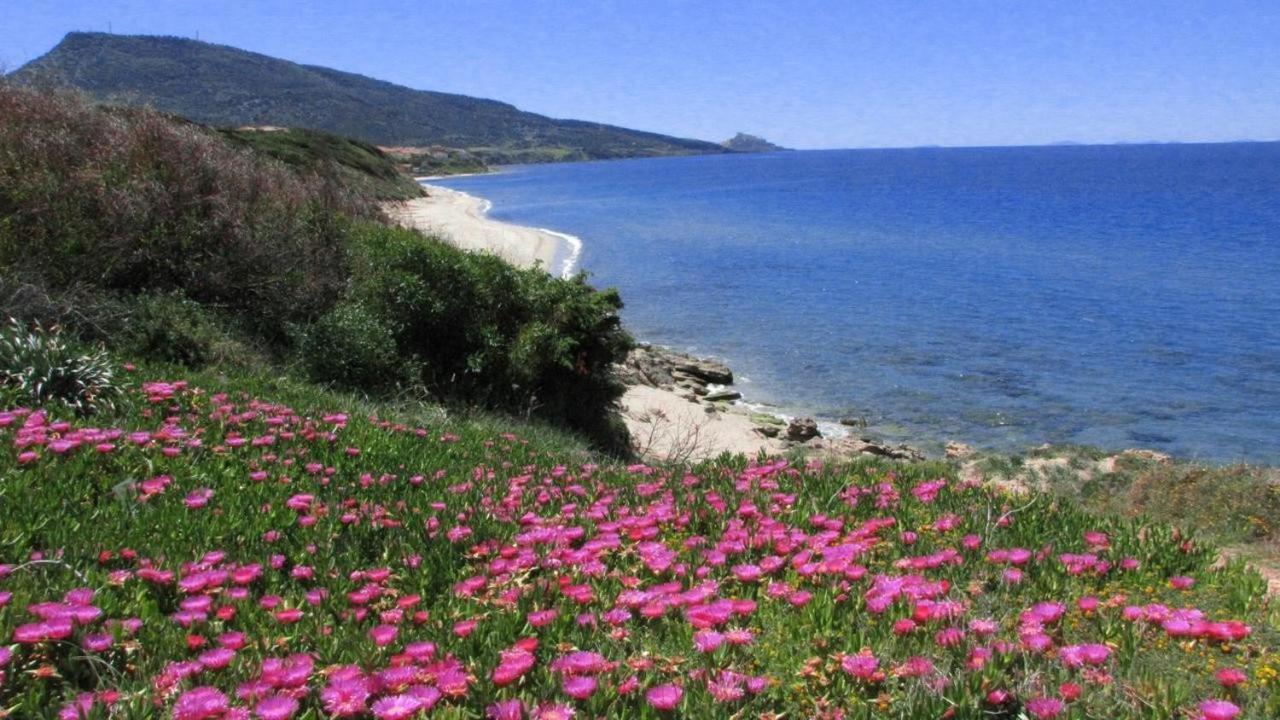 Alba Stupendo Appartamento In Villa Fronte Mare - Golfo Dell'Asinara - Internet Free Валледория Экстерьер фото