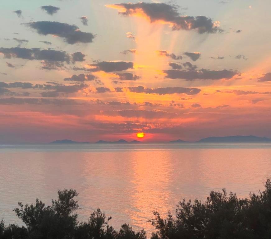 Alba Stupendo Appartamento In Villa Fronte Mare - Golfo Dell'Asinara - Internet Free Валледория Экстерьер фото